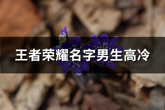 王者榮耀名字男生高冷(精選148個)