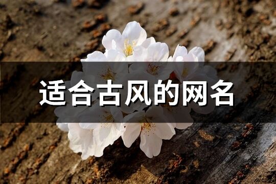 適合古風(fēng)的網(wǎng)名(優(yōu)選258個)