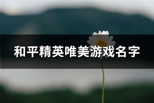 和平精英唯美游戲名字(527個)