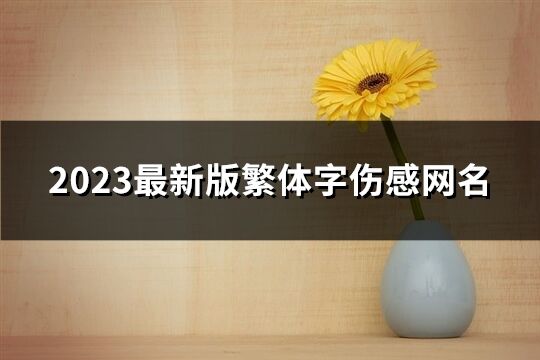 2023最新版繁體字傷感網名(優選208個)