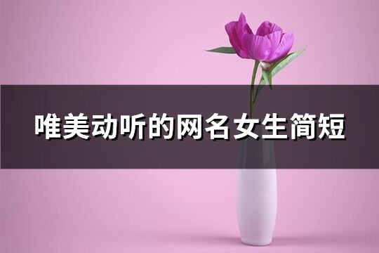 唯美動(dòng)聽的網(wǎng)名女生簡短(精選360個(gè))