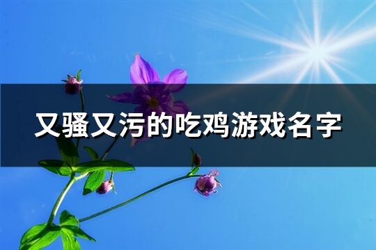 又騷又污的吃雞游戲名字(優選398個)