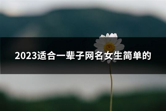 2023適合一輩子網名女生簡單的(共658個)