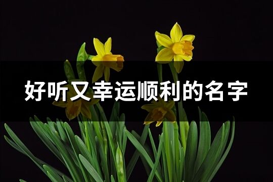 好聽又幸運順利的名字(精選245個)