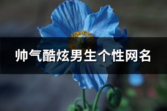 帥氣酷炫男生個性網名(優選257個)