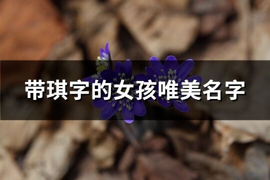 帶琪字的女孩唯美名字(173個(gè))