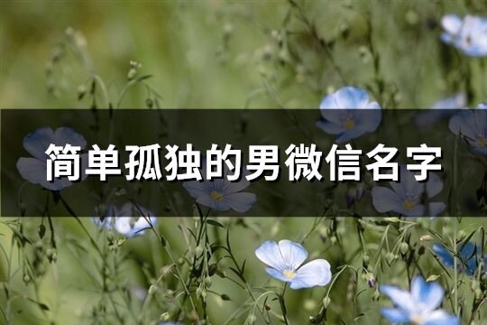 簡單孤獨的男微信名字(精選292個)