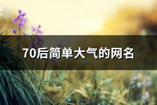 70后簡單大氣的網(wǎng)名(302個)