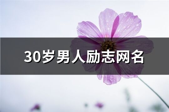 30歲男人勵志網名(優選160個)