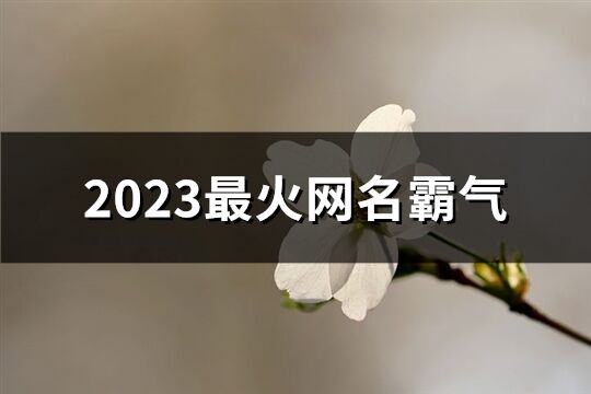 2023最火網(wǎng)名霸氣(優(yōu)選689個)