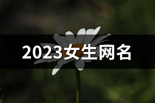 2023女生網名(精選640個)