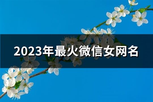 2023年最火微信女網(wǎng)名(精選661個)