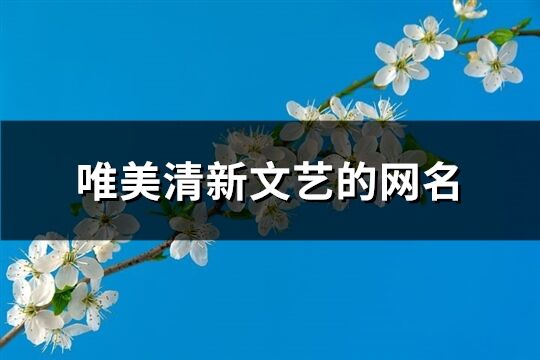 唯美清新文藝的網(wǎng)名(精選851個(gè))