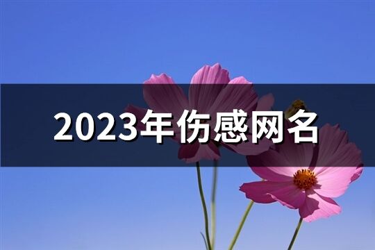 2023年傷感網(wǎng)名(513個)