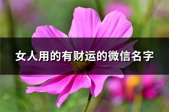 女人用的有財運的微信名字(優(yōu)選851個)