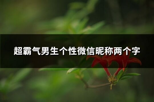 超霸氣男生個性微信昵稱兩個字(精選564個)