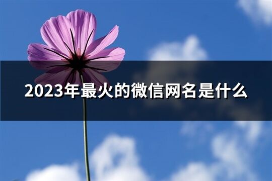 2023年最火的微信網名是什么(共1079個)