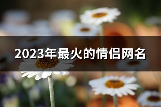 2023年最火的情侶網(wǎng)名(共324個)