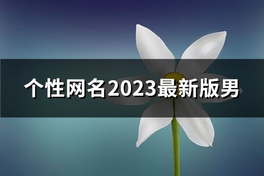 個性網(wǎng)名2023最新版男(共819個)