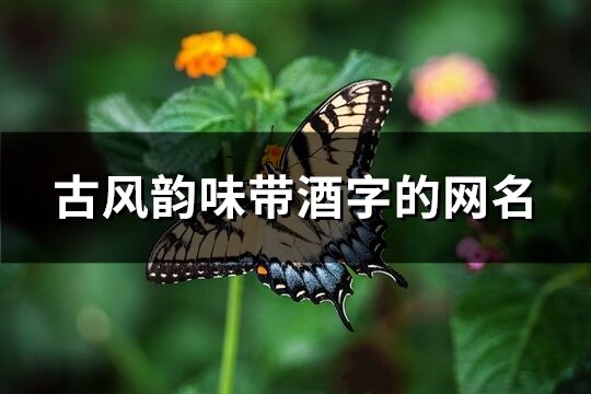 古風(fēng)韻味帶酒字的網(wǎng)名(優(yōu)選180個(gè))