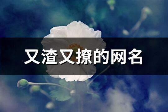 又渣又撩的網(wǎng)名(優(yōu)選162個)