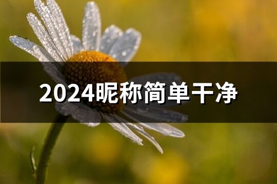 2024昵稱簡單干凈(優選818個)