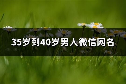 35歲到40歲男人微信網(wǎng)名(共309個)