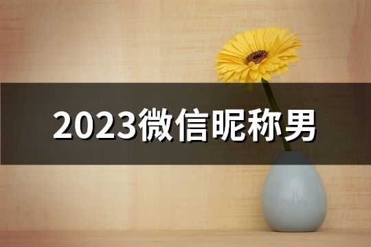 2023微信昵稱男(優選1244個)