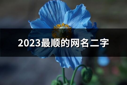 2023最順的網名二字(優選951個)