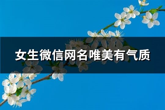 女生微信網(wǎng)名唯美有氣質(zhì)(優(yōu)選253個)