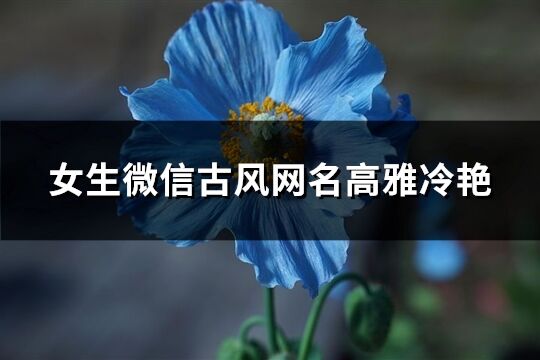 女生微信古風網名高雅冷艷(優選321個)