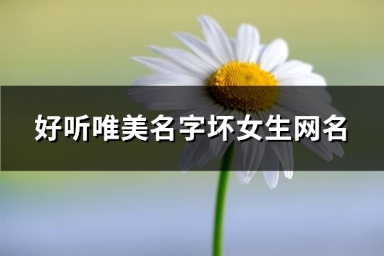 好聽唯美名字壞女生網名(優選90個)