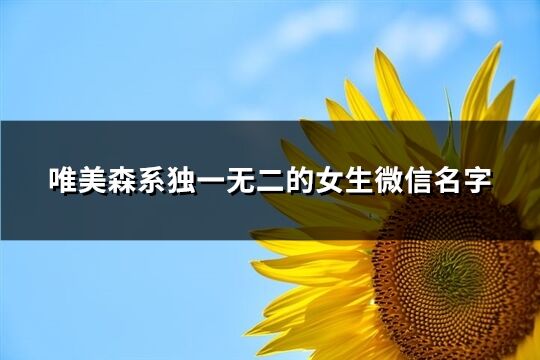 唯美森系獨一無二的女生微信名字(精選485個)