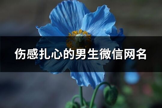 傷感扎心的男生微信網名(共342個)