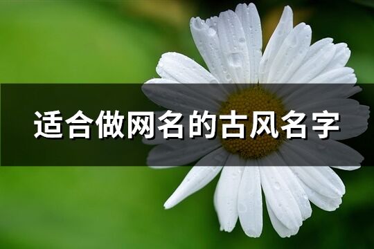 適合做網名的古風名字(69個)