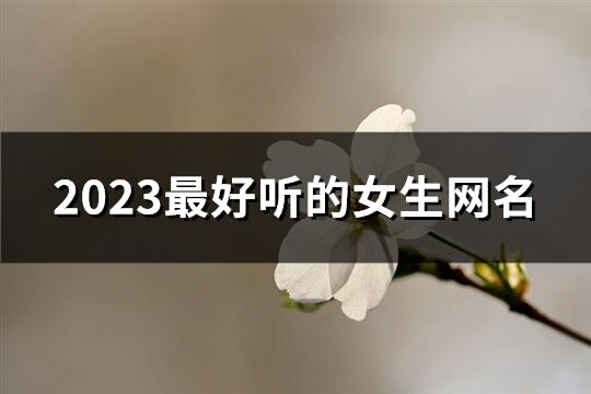 2023最好聽的女生網(wǎng)名(精選983個)