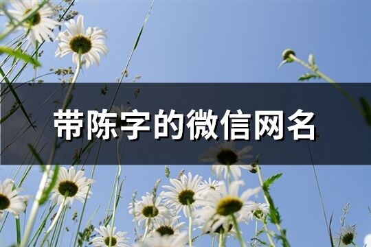 帶陳字的微信網(wǎng)名(精選129個(gè))