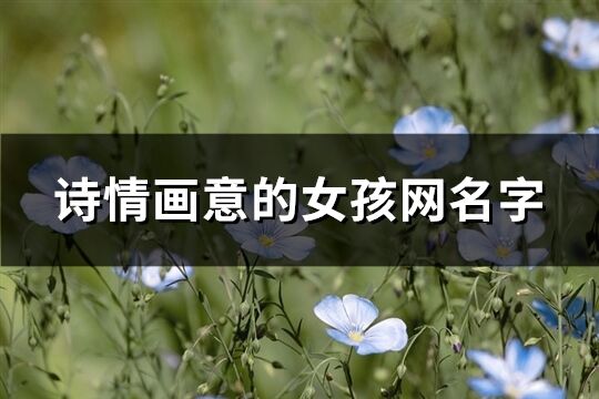 詩情畫意的女孩網名字(精選392個)