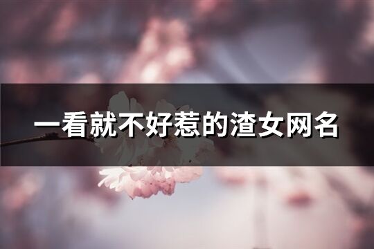 一看就不好惹的渣女網(wǎng)名(共504個)