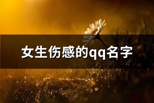 女生傷感的qq名字(共227個(gè))