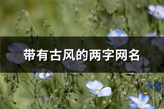 帶有古風的兩字網名(精選609個)