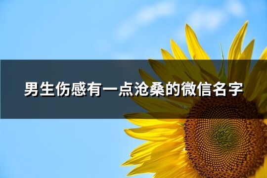 男生傷感有一點滄桑的微信名字(優(yōu)選452個)