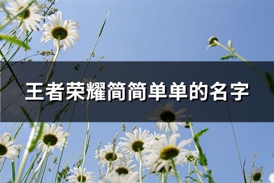 王者榮耀簡簡單單的名字(優選543個)