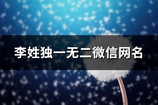 李姓獨一無二微信網名(優選60個)