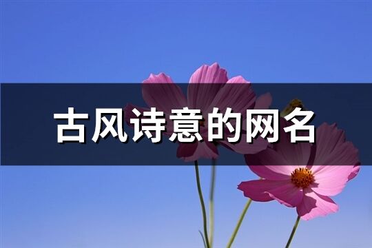 古風(fēng)詩(shī)意的網(wǎng)名(優(yōu)選219個(gè))