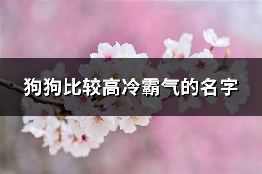 狗狗比較高冷霸氣的名字(優(yōu)選68個(gè))