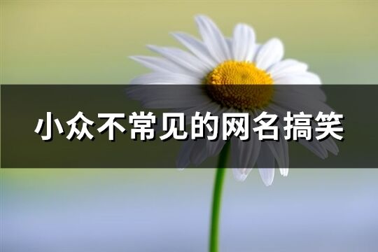 小眾不常見的網名搞笑(117個)