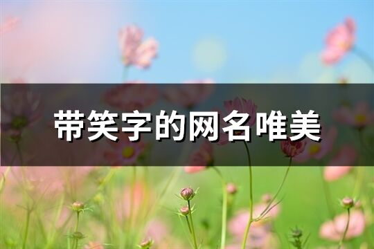 帶笑字的網名唯美(184個)