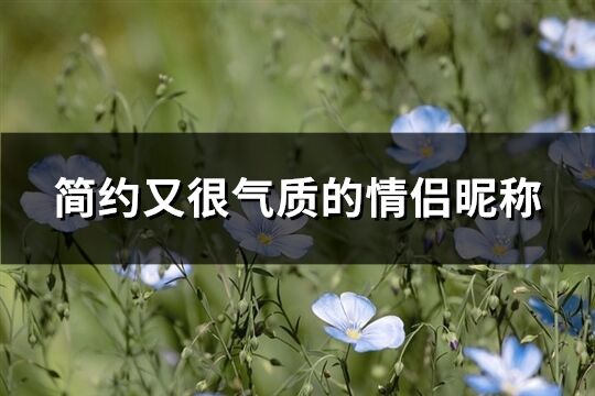 簡約又很氣質(zhì)的情侶昵稱(180個(gè))