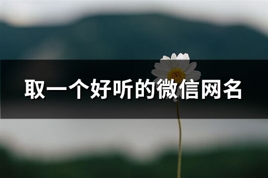 取一個好聽的微信網名(精選299個)